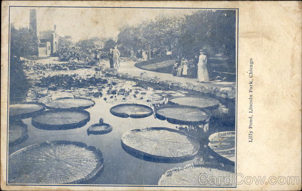 Lilly Pond, Lincoln Park Chicago Illinois