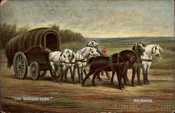 The Waggon Team Horses
