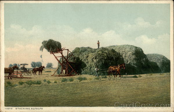 Stacking Alfalfa Farming