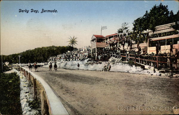 Derby Day Bermuda
