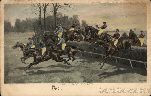 The First Fence Horses