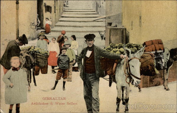 Gibraltar Artichoke & Water Sellars