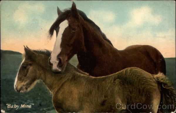 Baby Mine Horses