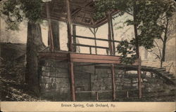Brown Spring Postcard
