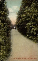 On the Road to Paw Paw Lake, Mich Michigan Postcard Postcard