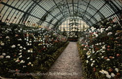 Interior of Conservatory, Mitchell Park Milwaukee, WI Postcard Postcard