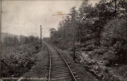 Curve at Miner's Path Freeland, PA Postcard Postcard