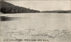 Lily Lake, Looking North from Red Rock Postcard