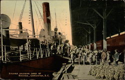 Steamer Unloading Cargo of bananas Postcard
