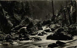 Salmon River Postcard