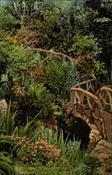 Schilling's Gardens Postcard