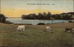 Lake Tashnoo Postcard