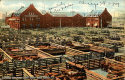 Exchange Boulevard, Union Stock Yards Chicago, IL Postcard Postcard