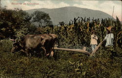 Stock #204572 Thumbnail