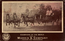 Morris & Company Postcard