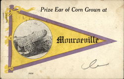 Prize Ear of Corn Grown at Monroeville Postcard