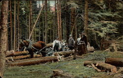 Logging in new Hampshire Logging in new Hampshire