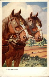 Pair of Draft Horses, heads only, in Field Postcard