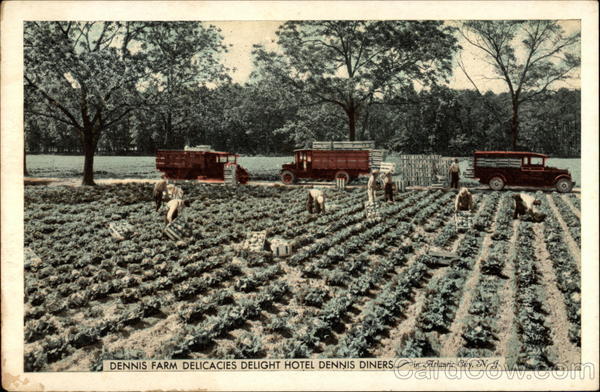 Dennis Farm Delicacies Delight Hotel Dennis Diners Atlantic City New Jersey