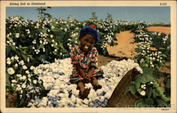 Sitting Soft in Dixieland Black Americana