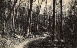 Camp Shadyside - Stag Run Trail Postcard