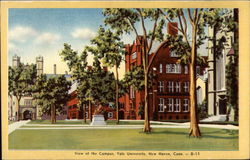 View of the Campus Yale University Postcard