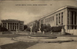 Harvard Medical School Postcard