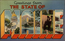 Greetings from the State of Maine Postcard