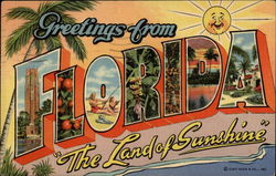 Greetings from Florida "The Land of Sunshine" Postcard