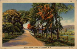 Greetings from Altamont, N.Y Postcard