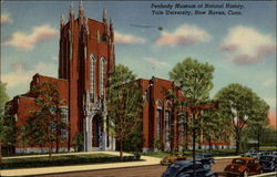 Peabody Museum of Natural History, Yale University Postcard