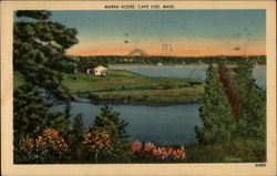 Marsh Scene Cape Cod, MA Postcard Postcard