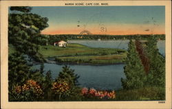 Marsh Scene Postcard