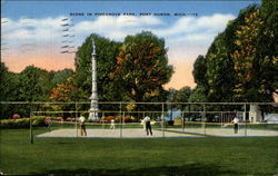 Scene in Pinegrove Park Postcard