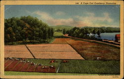 Stock #205315 Thumbnail