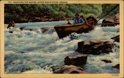Shooting the Rapids, Upper Rogue River Postcard