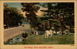 Greetings from Salem, Ohio Postcard Postcard