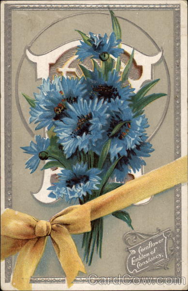 Cornflower: Emblem of Constancy Flowers
