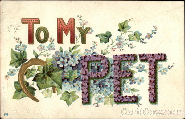 To My Pet To My Dear...