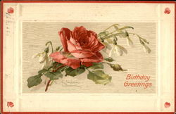 Birthday Greetings Postcard