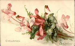 Cyclamen, a pretty flower painting on a pale background C. Klein Postcard Postcard