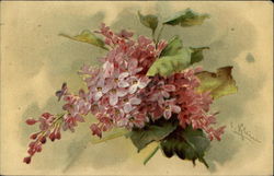 Bouquet of pink flowers Postcard