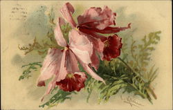 Watercolor of pink flower Postcard