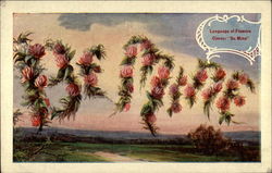 Language of Flowers - Clover: "Be Mine" Postcard