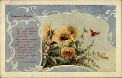 Language of Flowers Postcard