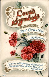 Love's Symbols Red Carnation Affection Postcard
