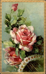 Pink roses in bloom Postcard