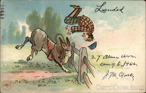 Donkey Bucking off Guy Comic, Funny