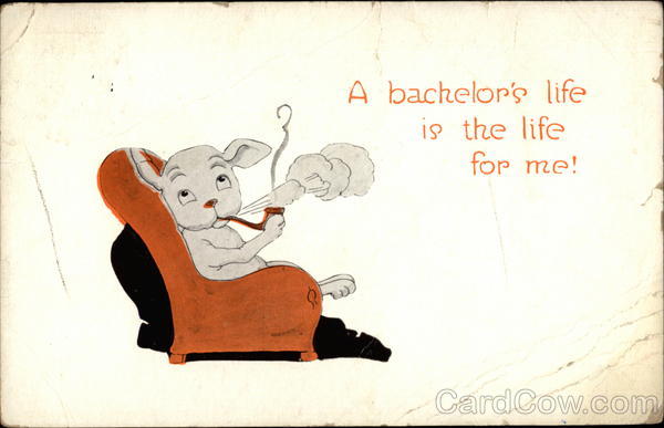 A Bachelor's Life is the Life for Me! Dogs