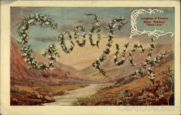 Language of Flowers: Good Luck Fantasy